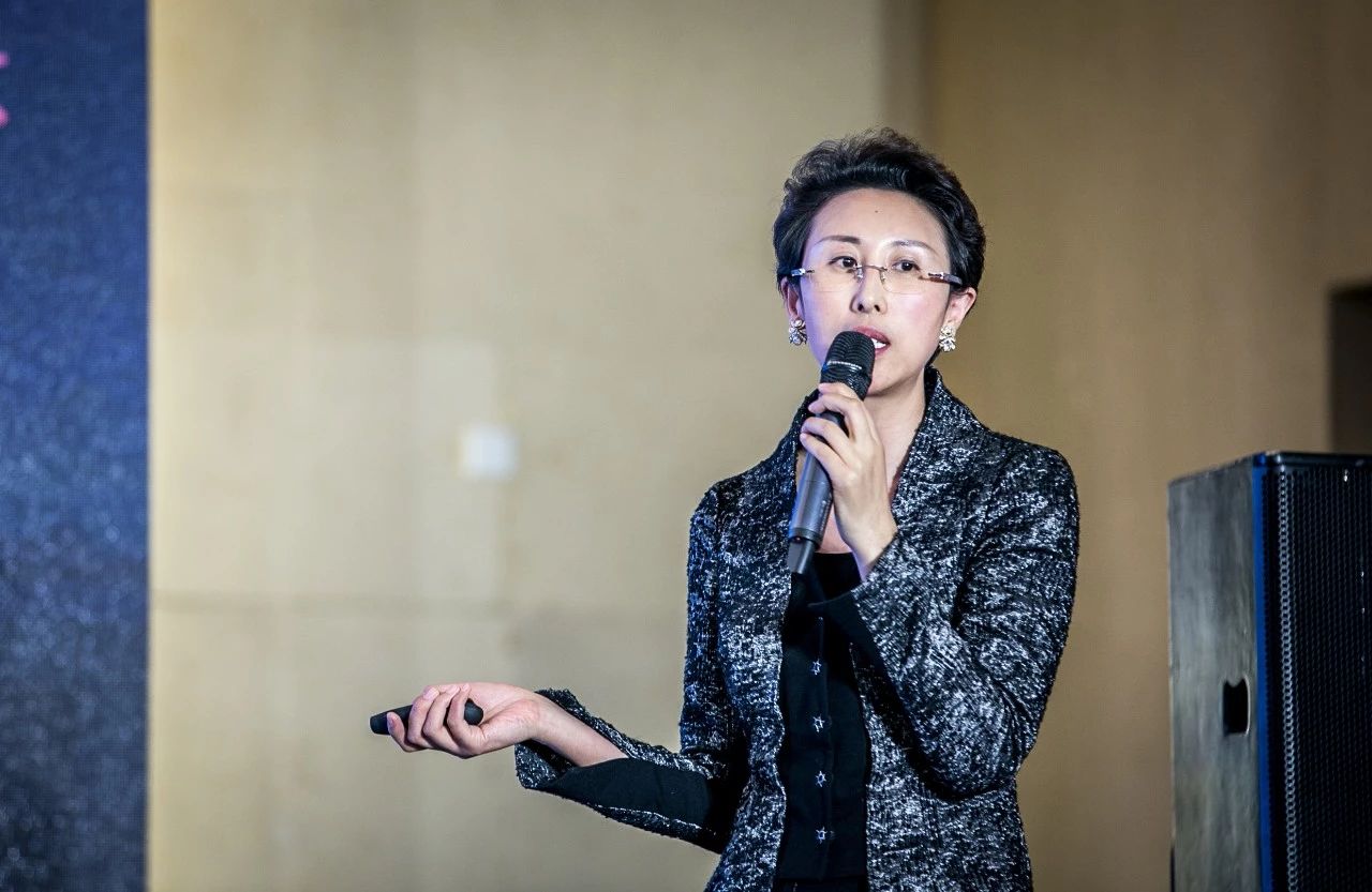 高鸣飞在丝路国际产能合作促进中心“一带一路”大讲堂发表演讲